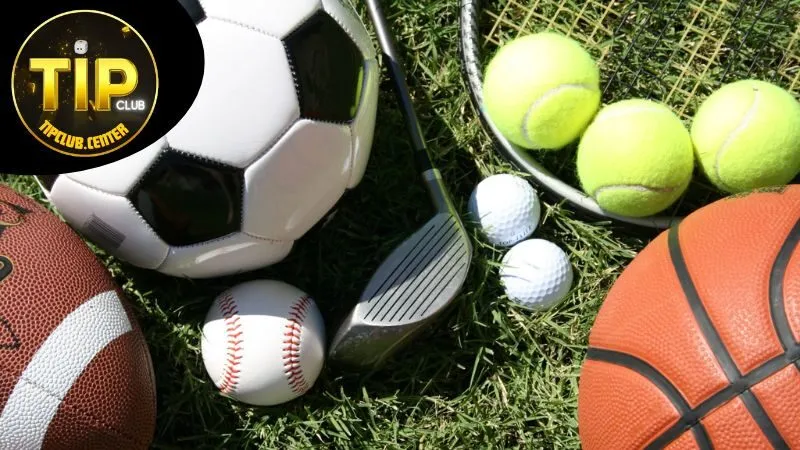 Cảm Nhận Của Người Chơi